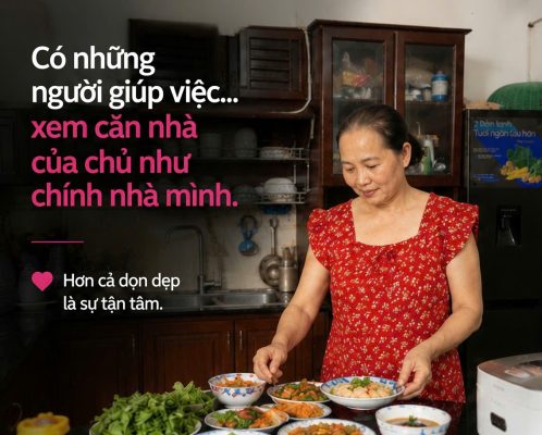Người giúp việc giúp việc nhà 05868.15 222